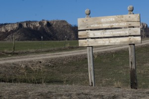Bighorn WMA entrance