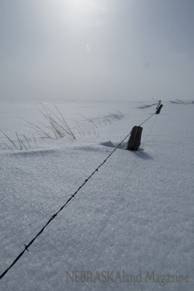 Fence posts in snow