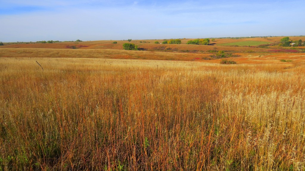 Audubon's Spring Creek Prairie