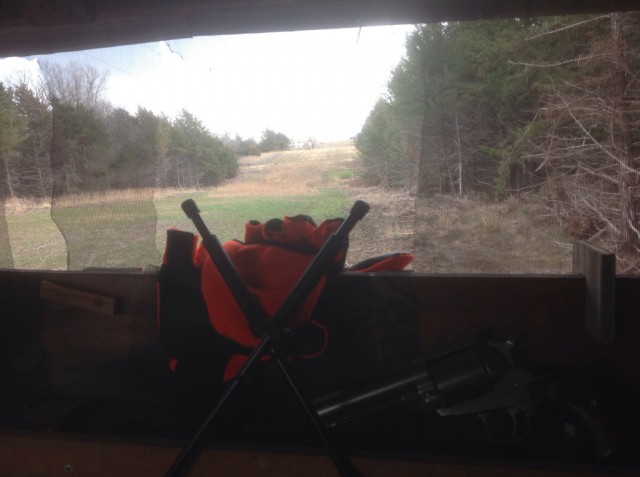 A view from the blind...pistol ready!