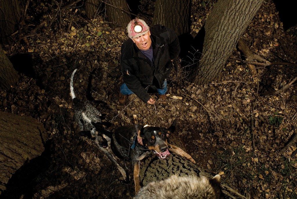  Jerry Spech handles Colonel and Thor, two of his five bluetick coonhounds, at the base of  a cottonwood tree, with a treed raccoon. Eric Fowler/NEBRASKAland Magazine