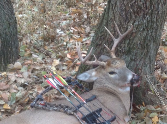 Archery deer season in southeast Nebraska....one week before firearm season this guy came to the rattle.