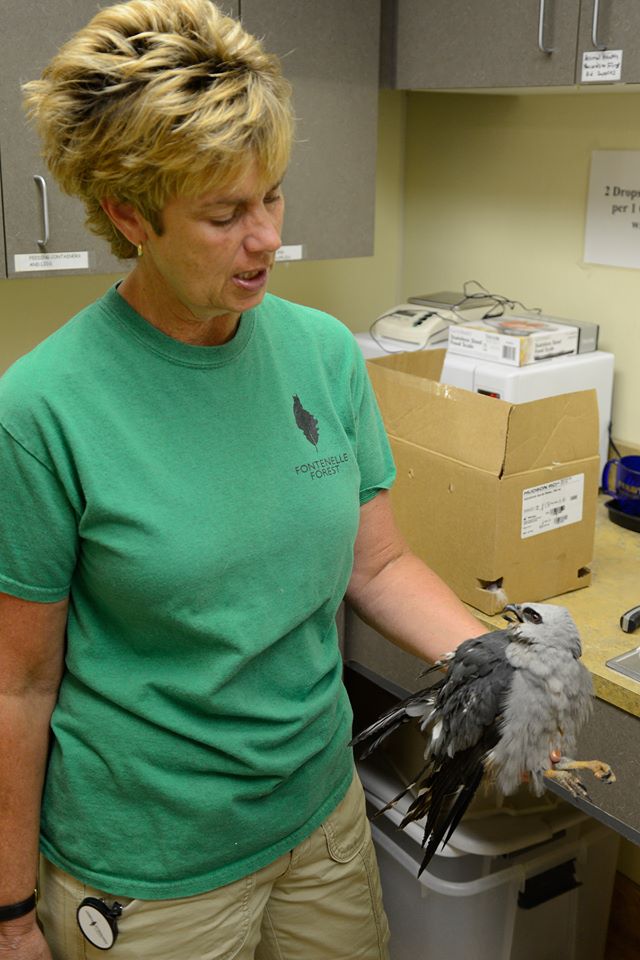 Photo Source: Fontenelle Forest's Raptor Recovery.
