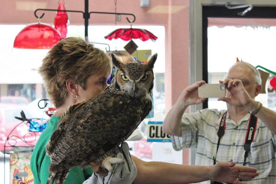 Denise Lewis and Great-Horned Owl. Photo Source: Fontenelle Forest Raptor Recovery.