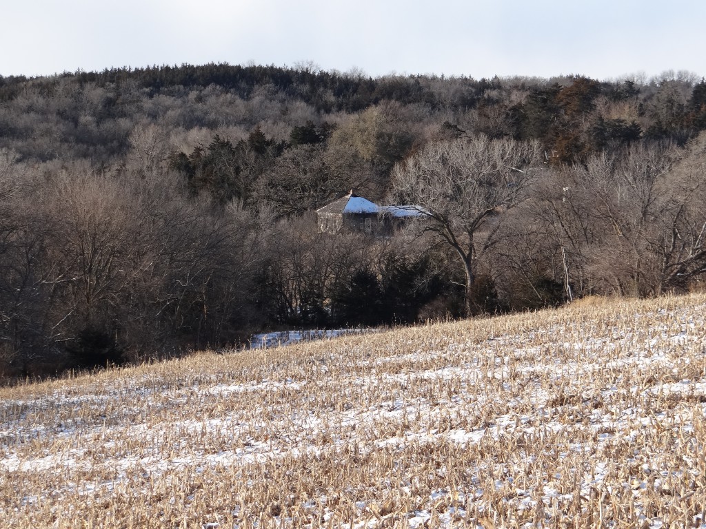 View of the deer woods and the old place on the family farm.