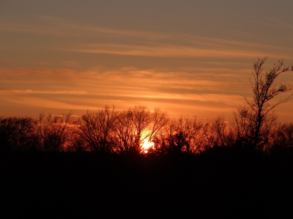 Sunset from the deer blind on the Wagner farm.