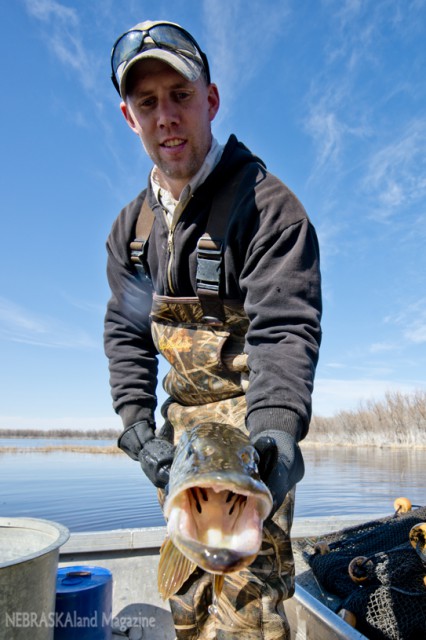 Fisheries biologist Joe Rydell in his work attire.