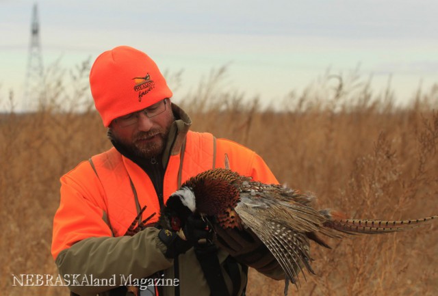 Bob St.Pierre, Vice President of Marketing for Pheasants Forever and Quail Forever admires the beauty of the ring-neck pheasant he shot.