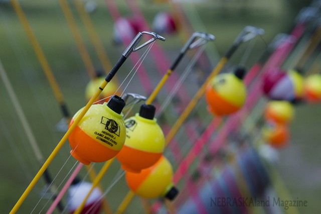 Fishing rods at a youth fishing event
