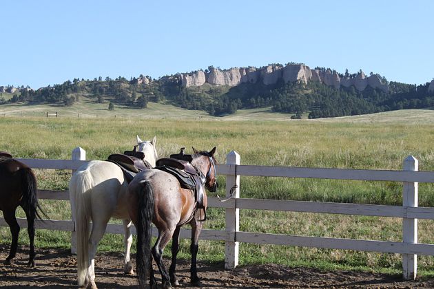 Horses saddled up for trail ride at Fort Robinson State Park near Crawford, NE. Photo by Mike Freel of Omaha, NE.