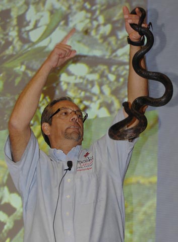Dennis Ferraro displaying one of his many snake specimens. Photo courtesy of University of Nebraska-Lincoln. 