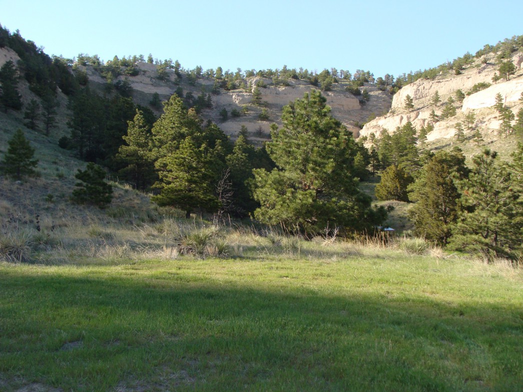 Pine ridge area of northwestern Nebraska. Photo courtesy of Jeff Rawlinson/Nebraska game and Parks Commission.