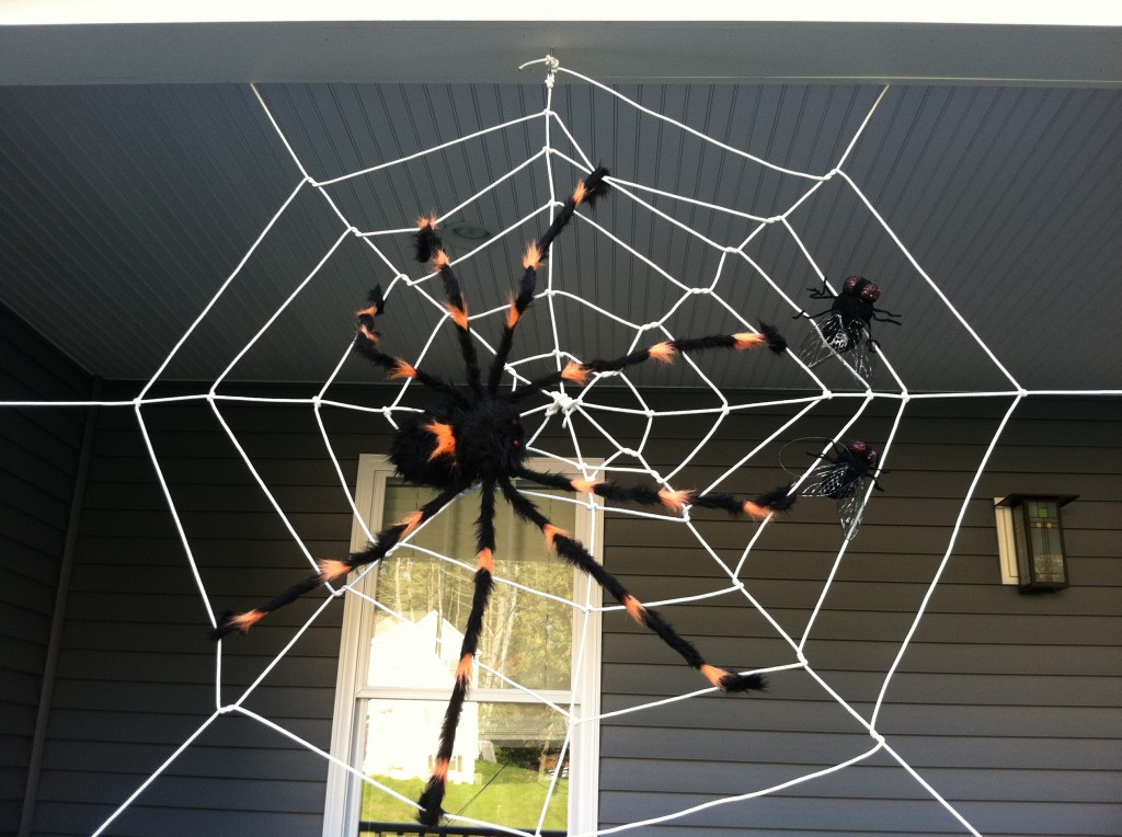 spiderwebdecoration