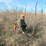 Jim Conn holds sweet clover, which is a good cover for pheasants and quail.