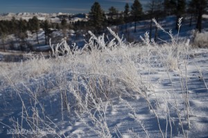 Winter scene at Chadron State Park