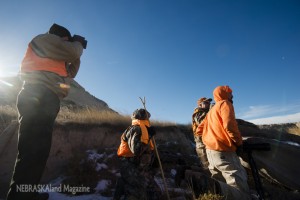 Bighorn sheep hunt
