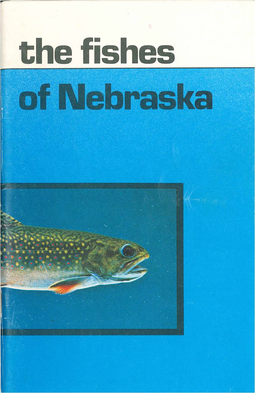 Why Wear Rubber Gloves When Handling Fish? • Nebraskaland Magazine