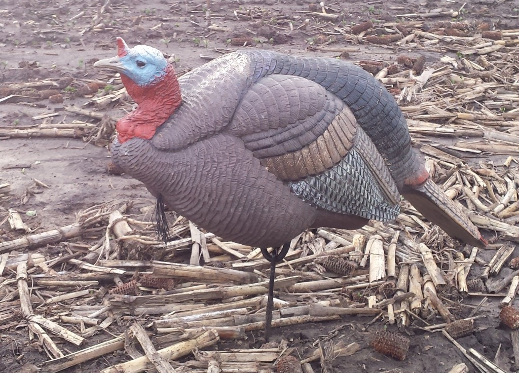 Jake decoys can be good late in the season