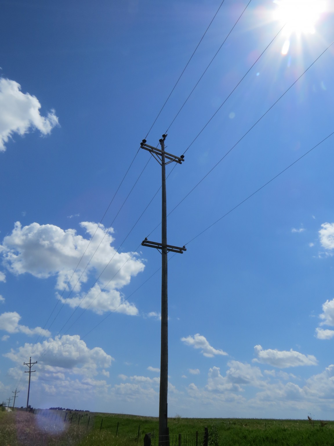 The power pole in which the Scissor-tailed Flycatchers are nesting. 