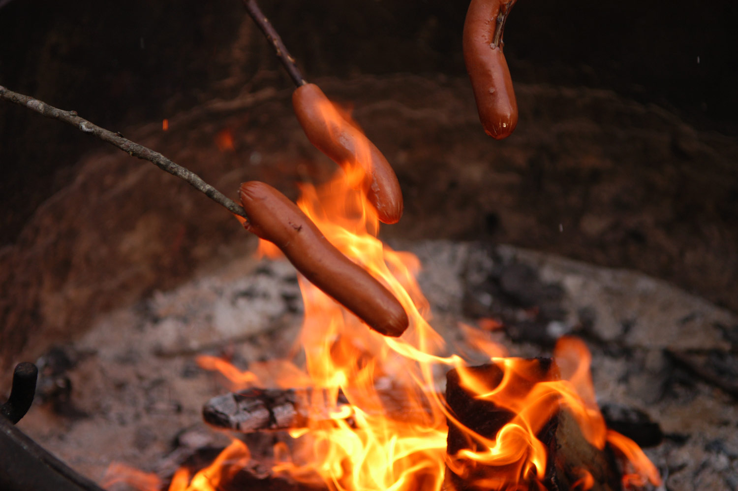 Image result for roast hot dog on twig