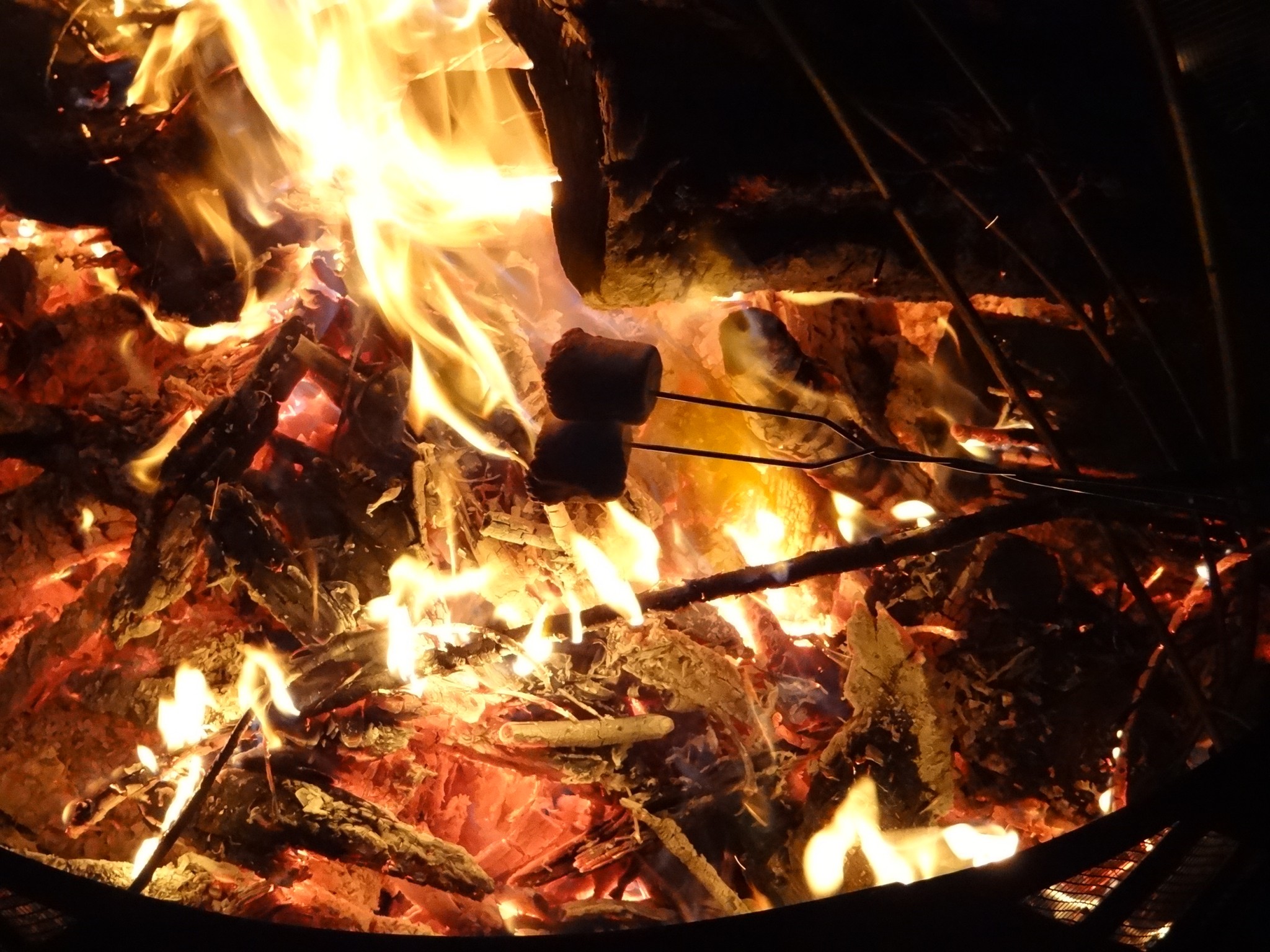campfire3