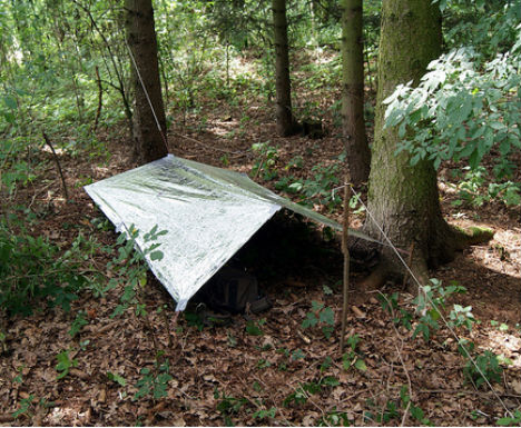 tarp shelter