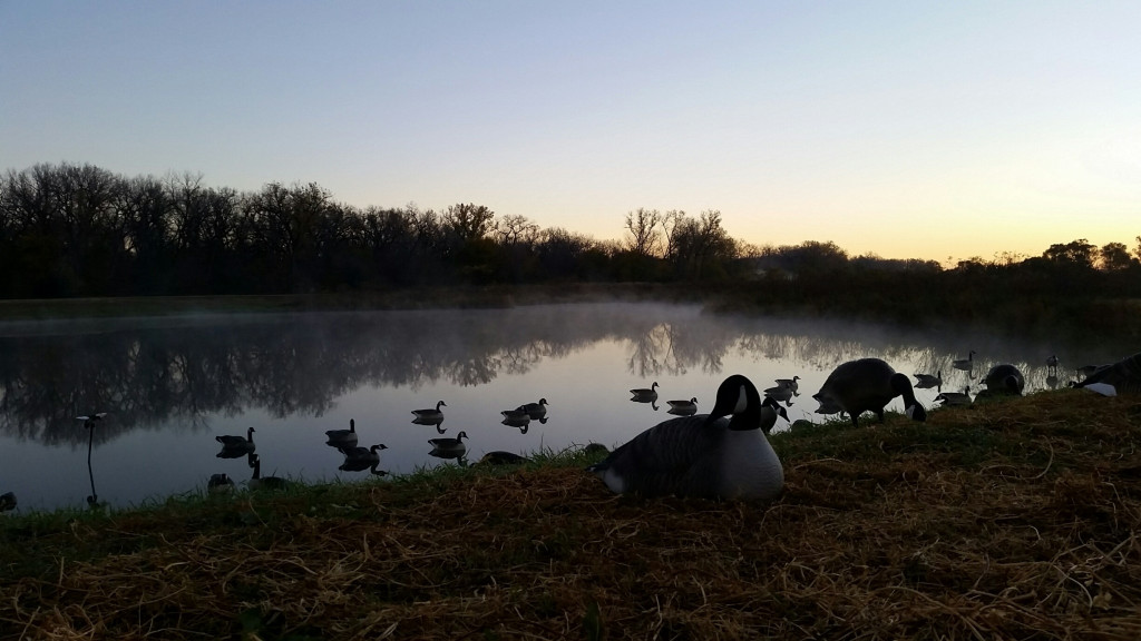 Morning over Decoys