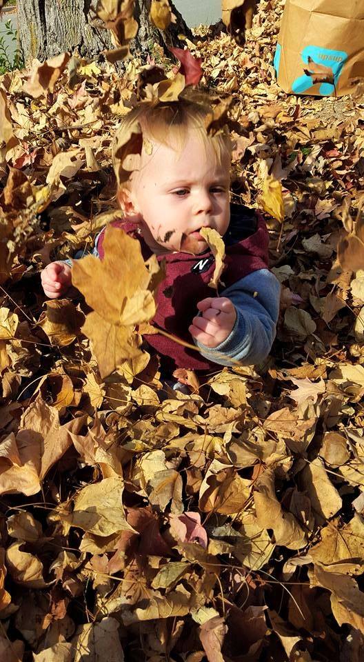 Jackson Edward experiences a fall leaf pile for the first time. Photo by Greg Wagner/Nebraska Game and Parks Commission. 