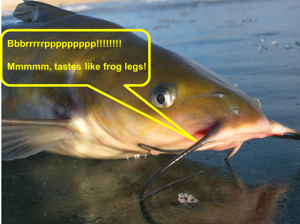 It Is a Fish Eat Frog World! •Nebraskaland Magazine