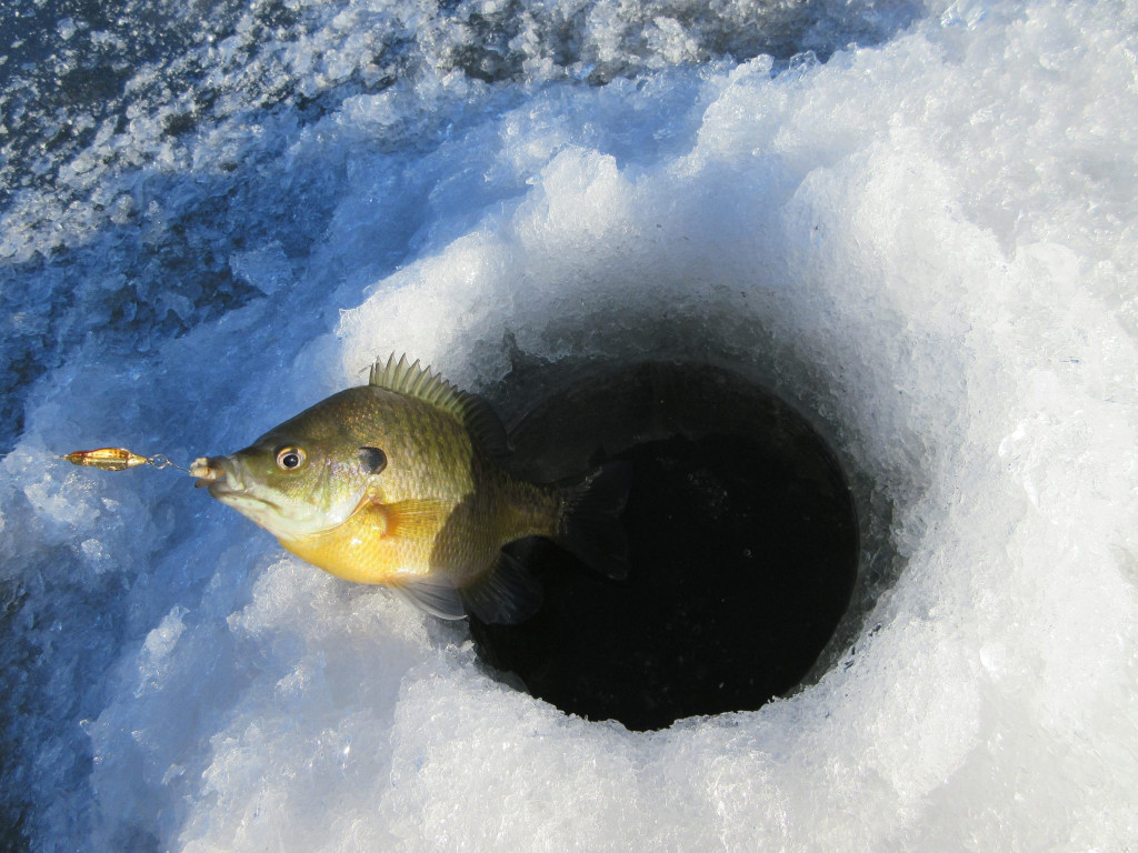 Fishing With Ice Holes
