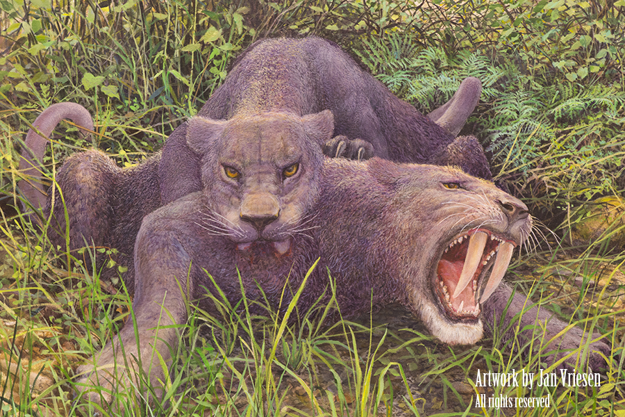 Saber-toothed cats, by Jan Vriesen