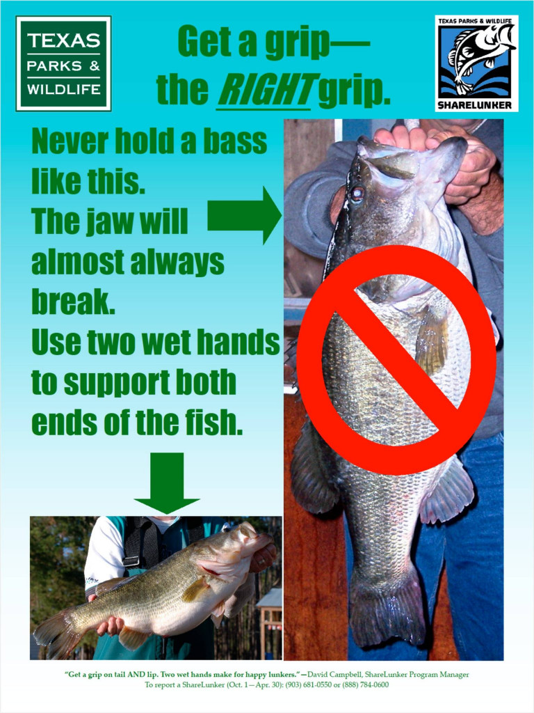 Fish Handling, Bass •Nebraskaland Magazine