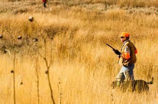 Hunting Big Grass