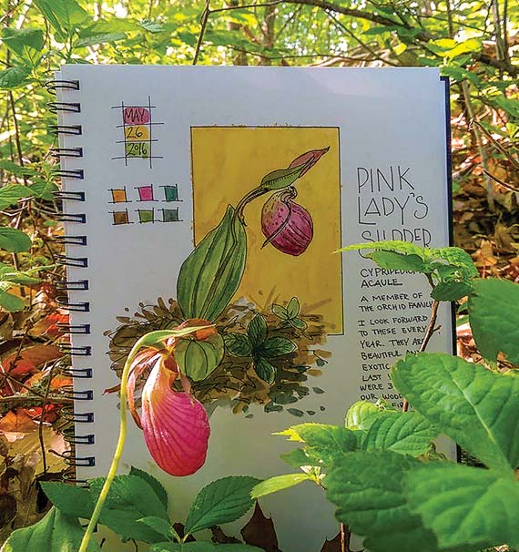 “Keeping a sketchbook journal has become an incredibly fulfilling and happy experience for me,” wrote Jan Blencowe of Clinton, Connecticut.