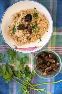morel risotto is served