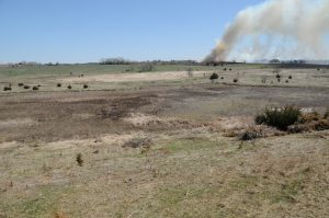 Timelapse images of seasonal change, showing early spring through fall, with restoration tools like prescribed fire in the background on an adjacent conservation property. The dividing line difference in vegetation types midframe is because part of the wetland is freshwater, part is saltwater.