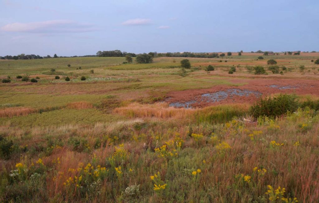 Both freshwater and saline water sources feed this wetland in the valley at Little Salt Creek Wildlife Management Area. The difference in water sources is evident by distinct plant communities and is pronounced in the fall.