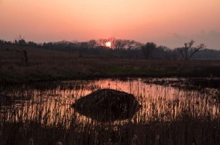 The sun sets as shadows fall over a saline wetland and a muskrat hut at the Little Salt Fork Marsh Preserve.