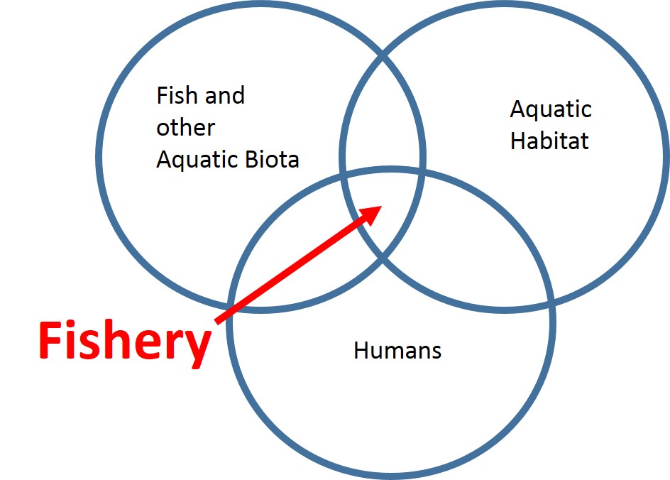 FisheryDiagram