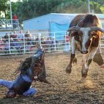 Lacey Fiorelli from Broken Bow captured this photo at the Custer County Fair during the Bull Riding Classic.