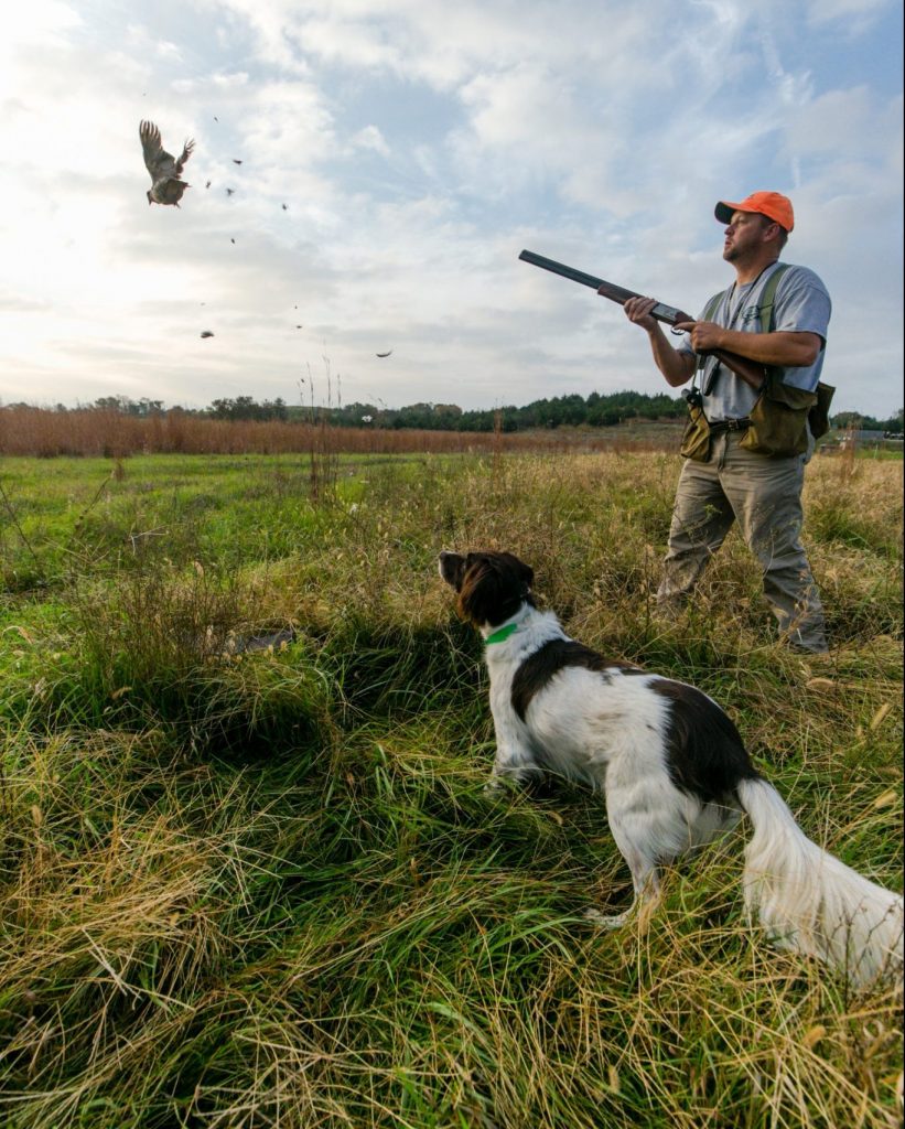 3"x5" H Hunt Cornfield Pheasant Hunting Setter Dog Frame 3.5"x5"