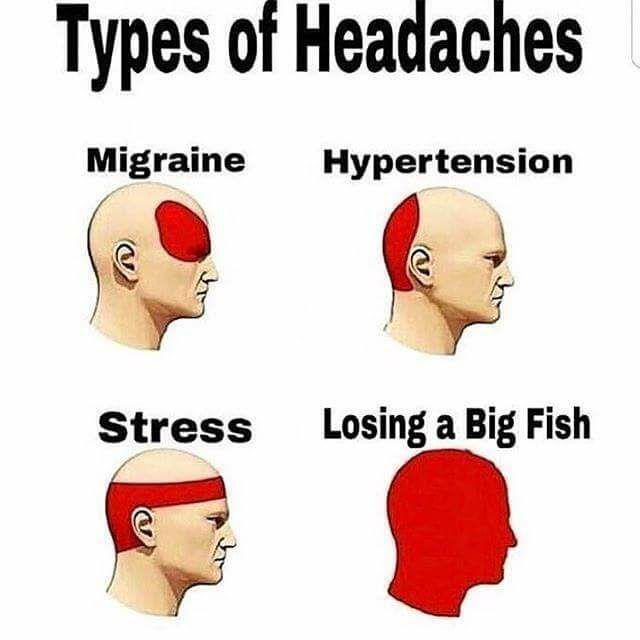FishHeadache