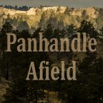 Panhandle Afield Logo