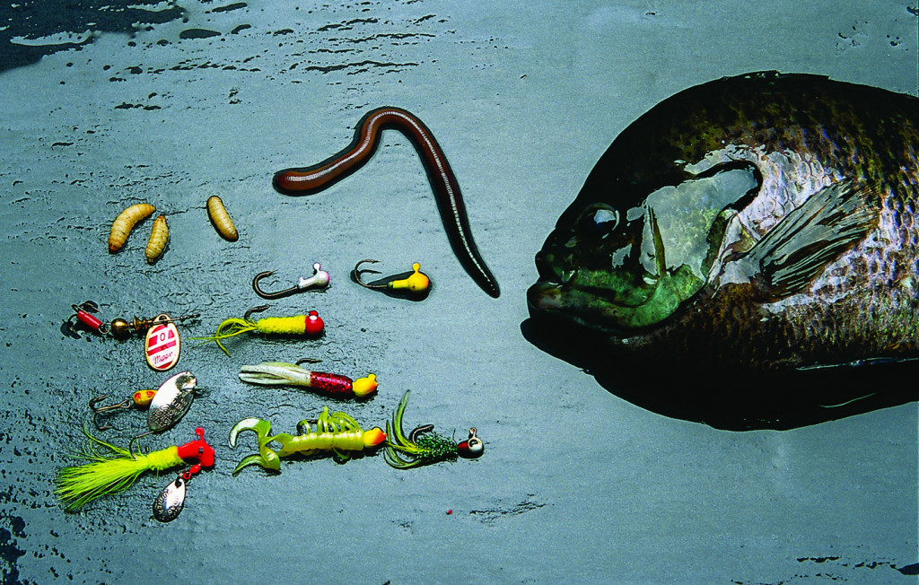 With fishing bait, you don't always have to keep it real • Nebraskaland  Magazine