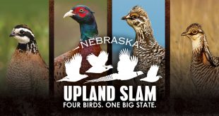 Upland Slam promotional image