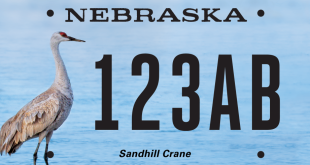 Sandhill crane license plate design