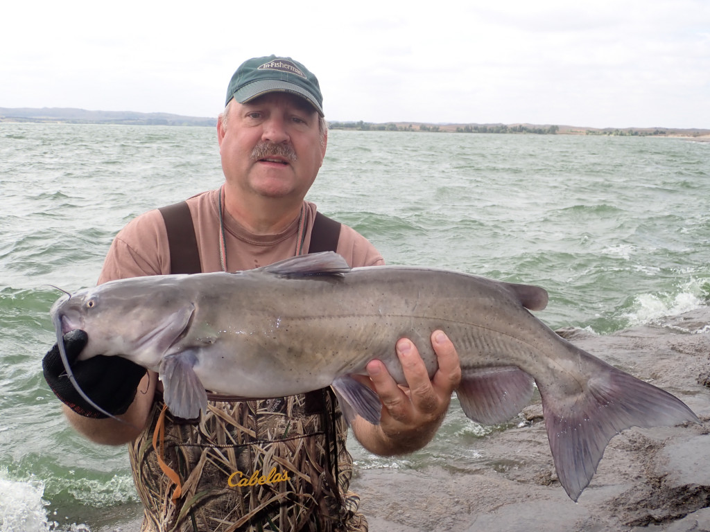 How to Catch Channel Catfish