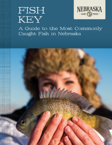 Fish Key cover
