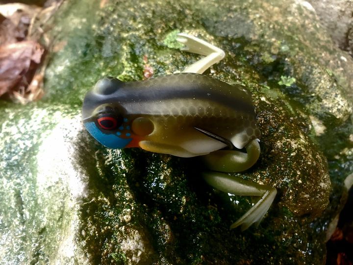 Bass Junkies Frog Pond: Flip in The Bird Top Water Bait Review