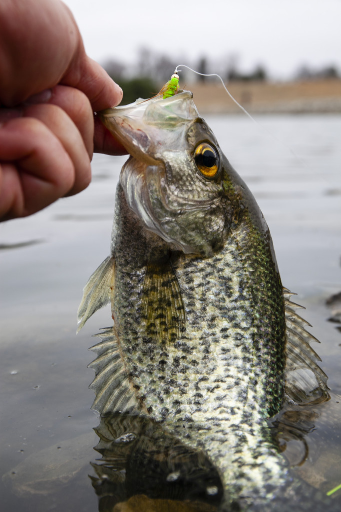 Getting hooked on spring crappie fishing • Nebraskaland Magazine